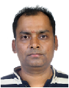 Prof. Niladri Pratap Maity